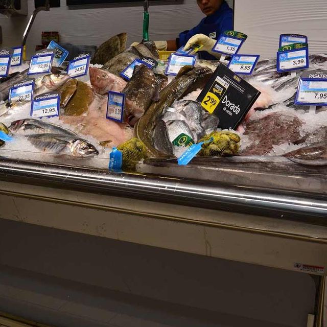 Frihosna pescados congelados